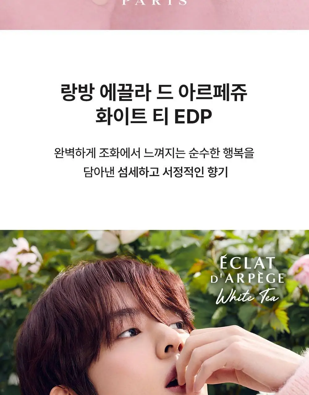 [한유진 PICK] 랑방 에끌라 드 아르페쥬 화이트 티 EDP 30ml (단품,기획) 상세페이지 5